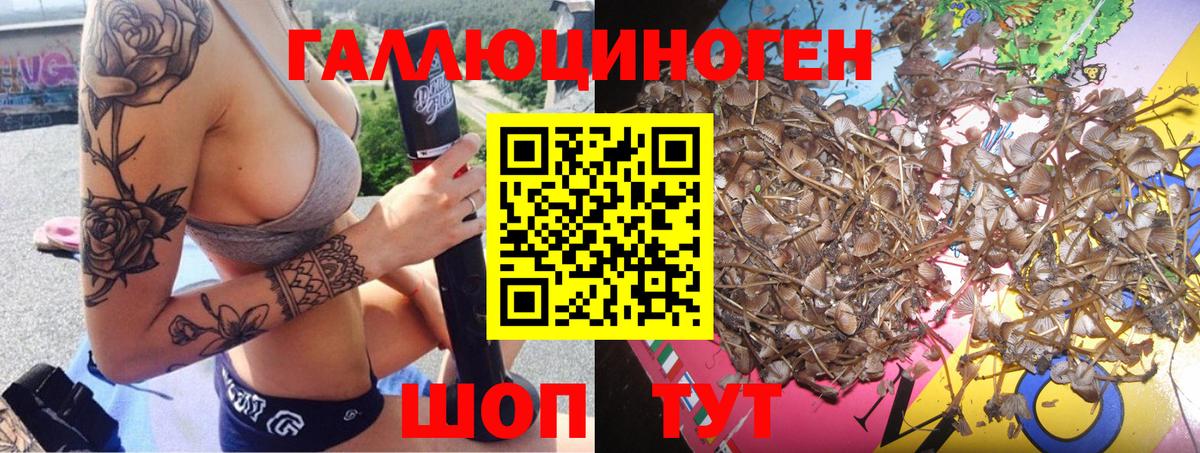 Галлюциногенные грибы мухоморы Таганрог