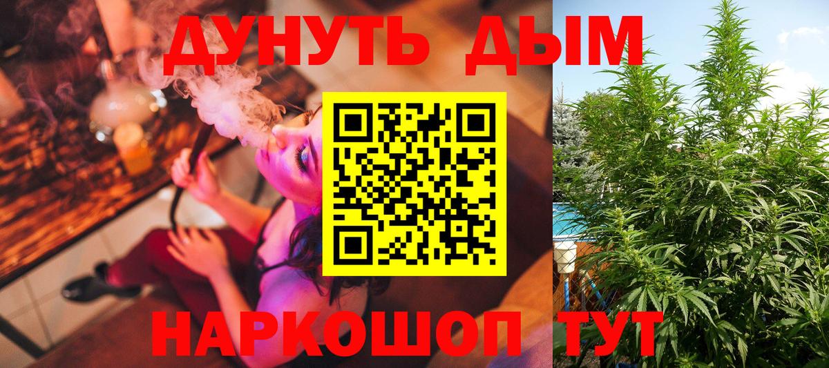 Каннабис семена  Конопля тримм  Таганрог  Бошки марихуана планчик  Вход с VPN  Канабис VHQ 